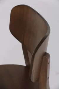 N.S.AUR .LEG .DETT